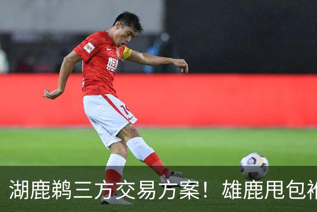湖鹿鹈三方交易方案！雄鹿甩包袱，鹈鹕赌一把，湖人得顶级防守大闸